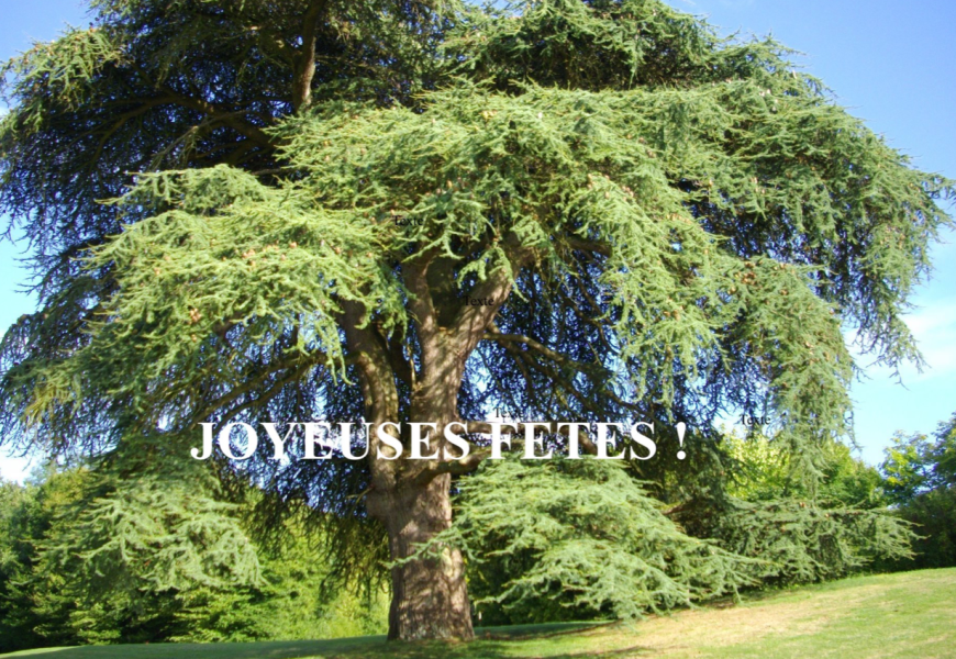 Joyeuses fêtes !